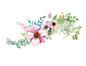 Pink Flowers Download Free PNG 1