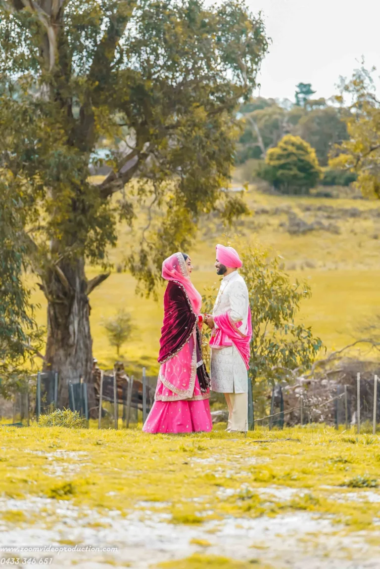 sangeet-dance-performance-family-melbourne